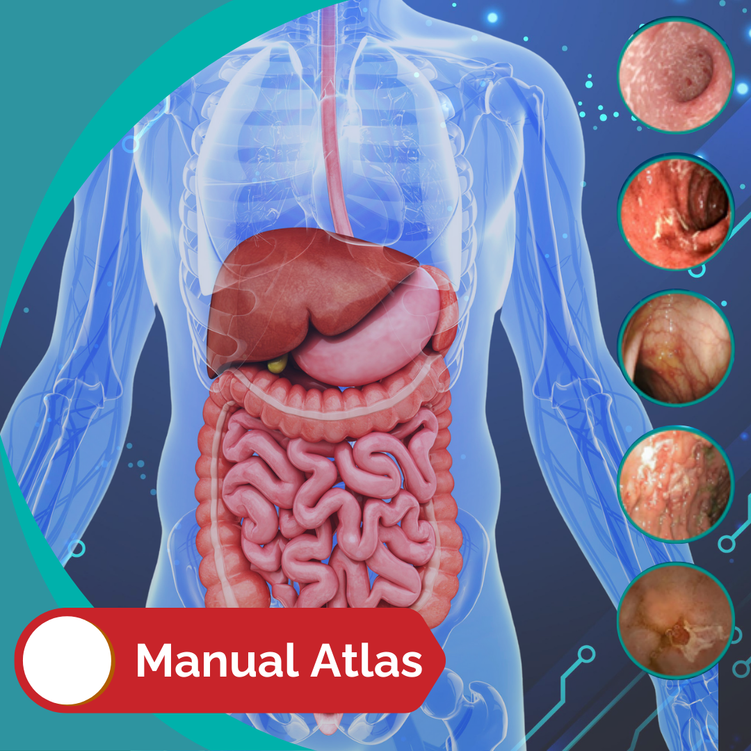 MAnual Atlas Pancco
